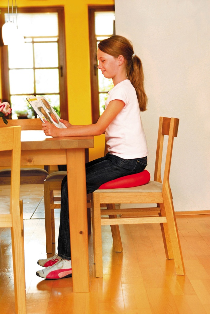 Sissel Sitfit Plus 