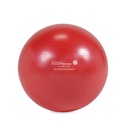 FITNESS BALL REHABMEDIC ballons d'exercice