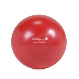 [RME525502] FITNESS BALL Mingi de exerciții REHABMEDIC (roșu, 55 cm)