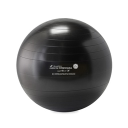 [RME526505] FITNESS BALL REHABMEDIC harjoituspallot (Musta, 65 cm)