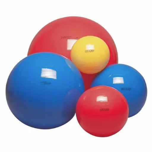 GYMNIK Träningsboll